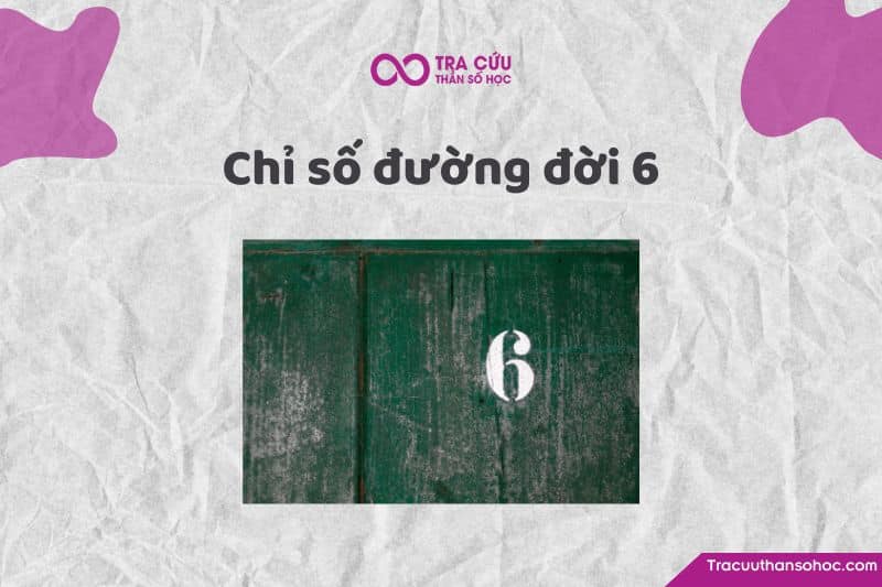 Chỉ số đường đời 6 là gì? Đặc điểm tính cách, tình duyên và sự nghiệp số chủ đạo 6