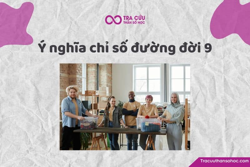 Chỉ số đường đời 9 là gì?