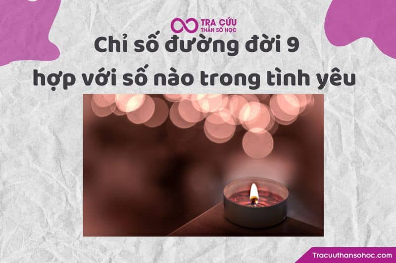 Chỉ số đường đời 9 hợp với số nào trong tình yêu