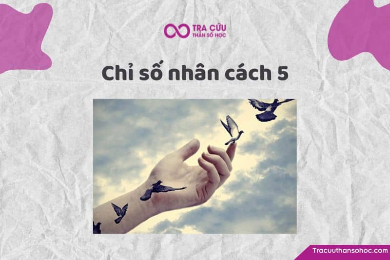 Chỉ số nhân cách 5 là gì? Đặc điểm tính cách và con đường tình yêu, sự nghiệp
