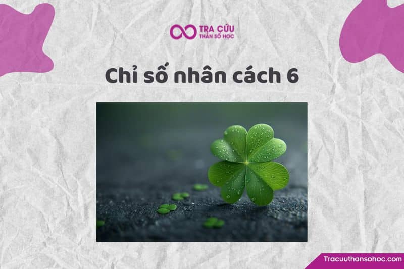 Chỉ số nhân cách 6 là gì? Đặc điểm tính cách và con đường tình yêu, sự nghiệp