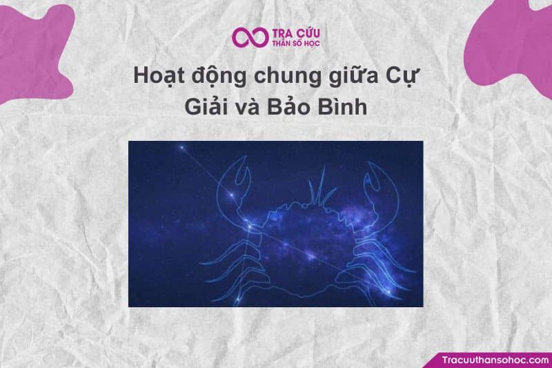 Cự Giải rất thích tổ ấm và không gian gần gũi, còn Bảo Bình lại có ý tưởng sáng tạo độc đáo.