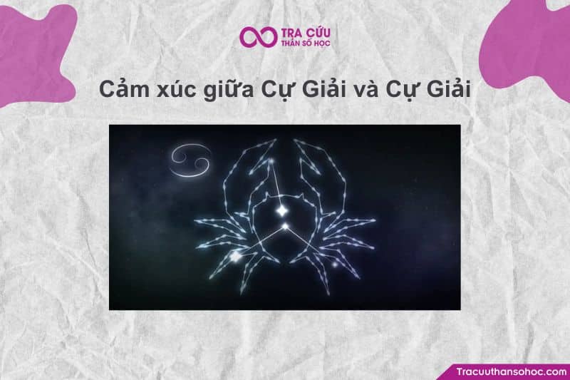 Cả hai đều có trực giác rất mạnh, nên dễ cảm nhận tâm trạng của đối phương mà không cần nói.