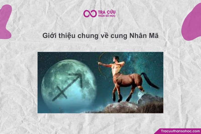 Nhân Mã (Sagittarius) ♐ – cung thứ 9, sinh từ 22/11–21/12.