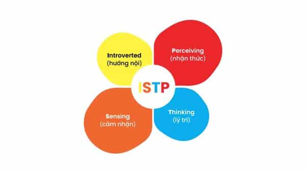 MBTI ISTP được đánh giá là những người kín đáo