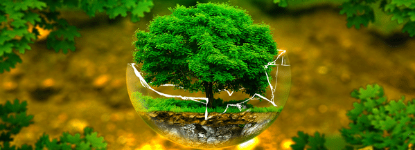 Nhóm S trong DISC phù hợp với môi trường an toàn, ổn định